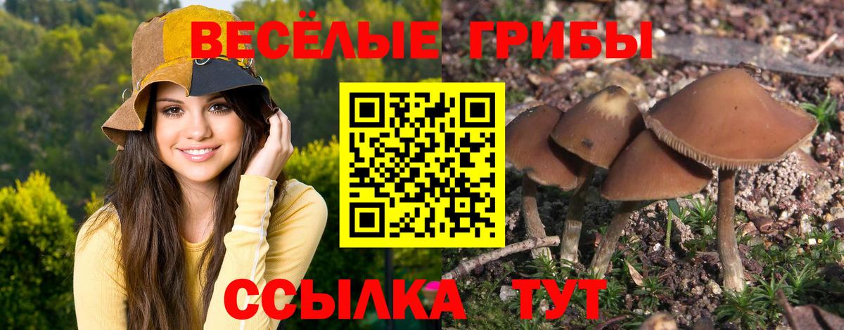 Галлюциногенные грибы Cubensis  цена наркотик  Чайковский  Галлюциногенные грибы мицелий  Вход с VPN 