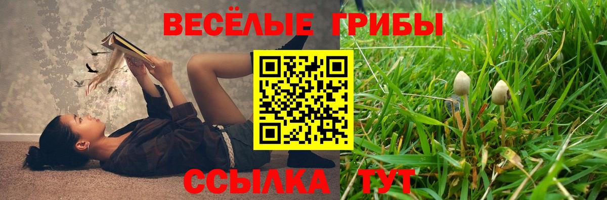 Псилоцибиновые грибы мухоморы Чайковский